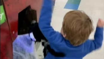 Michigan boy, 3, beats up Halloween spider decoration in viral clip