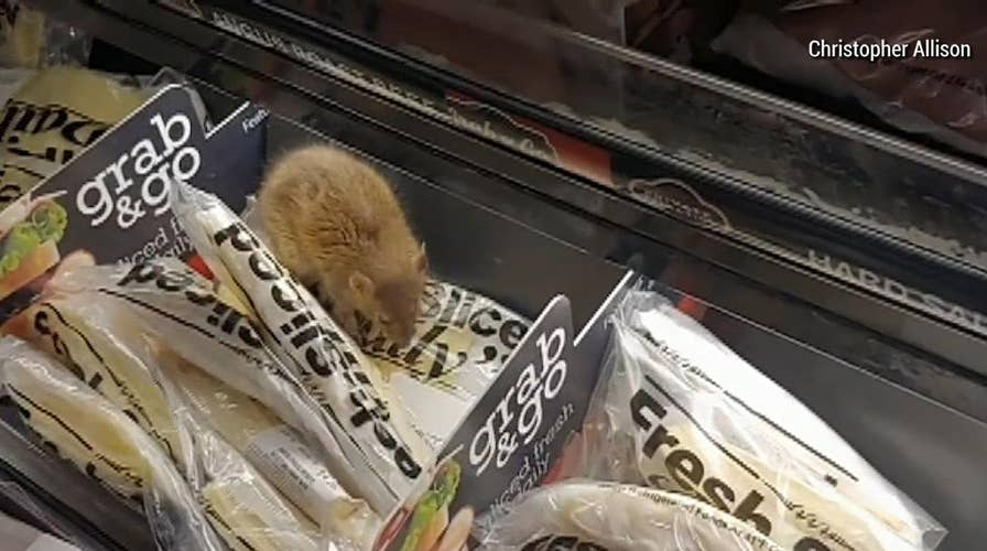Caught on Video: Rat snacks on cheese in grocery store