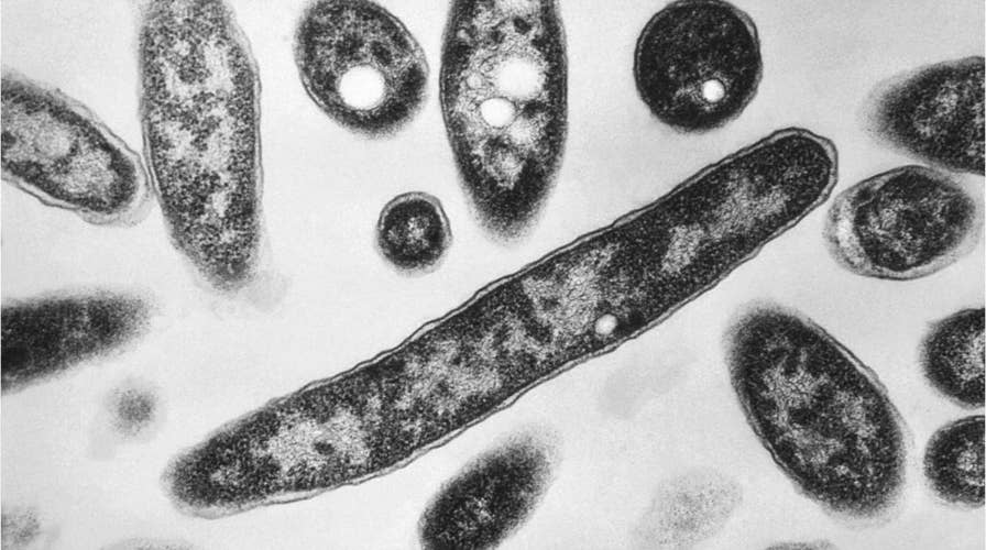 Officials: Legionnaires' disease outbreak linked to North Carolina state fair kills 3rd person