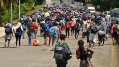 Border apprehensions dropped in November for 6th consecutive month, per DHS data