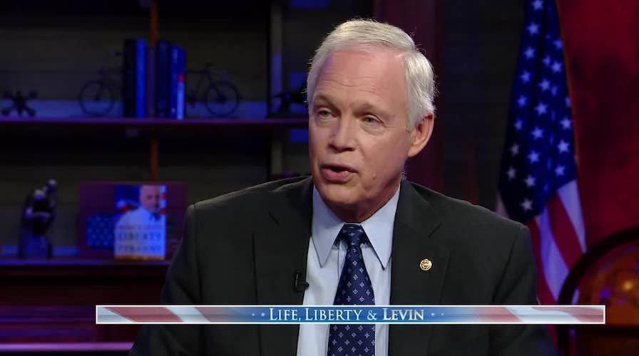 Ron Johnson says media leaving unanswered questions over Ukraine