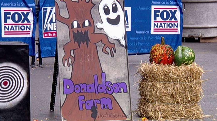 Farmers embrace 'agritainment' to boost their income