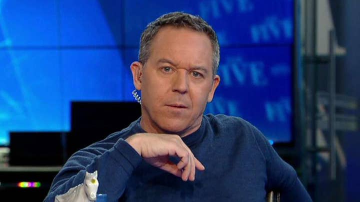 Gutfeld on the Tulsi and Hillary battle for America