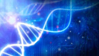 Scientists claim new DNA-editing tool could correct 89 percent of disease-causing gene mutations - Fox News