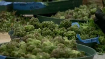 2020 Democrats admit past pot use, embrace legalization