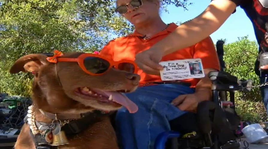 Disabled man asked to leave McDonalds over smelly service dog