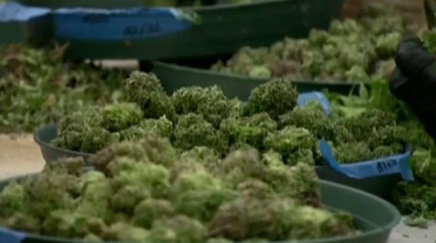 2020 Democrats admit past pot use, embrace legalization