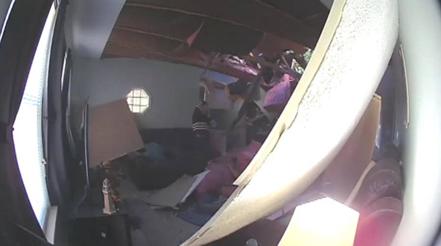 Tree crashes into Maryland home