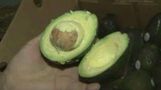 Drug cartels target avocado farmers in Mexico amid economic boom - Fox News