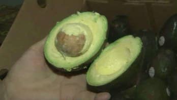 Drug cartels target avocado farmers in Mexico amid economic boom