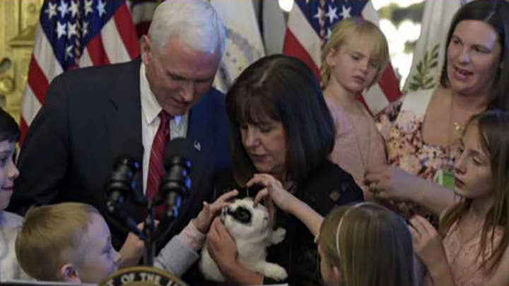 Pence family bunny is back in 'Marlon Bundo's Best Christmas Ever'