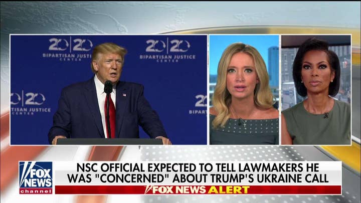 Kayleigh McEnany: Democrats designed a coup against President Trump