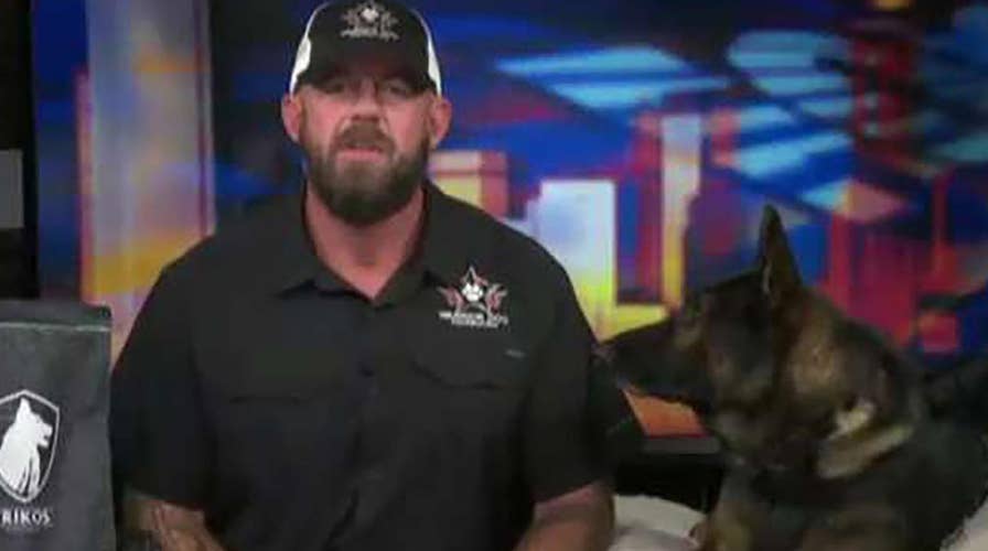 How military K9s are trained to fight terrorism and take down targets