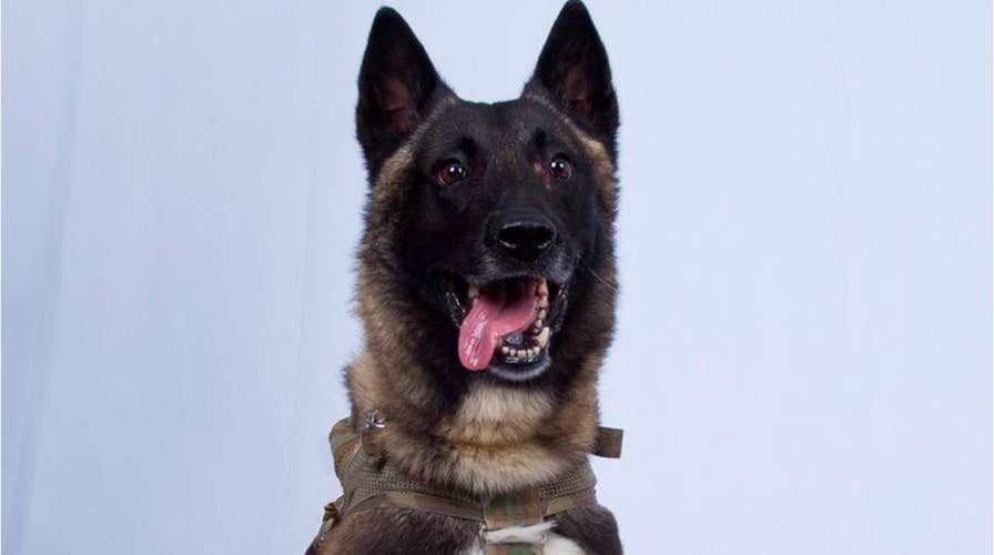Trump identifies 'Conan,' military dog in Baghdadi raid, says she will visit White House