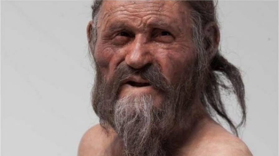 Otzi the Iceman: Frozen moss sheds new light on his final journey