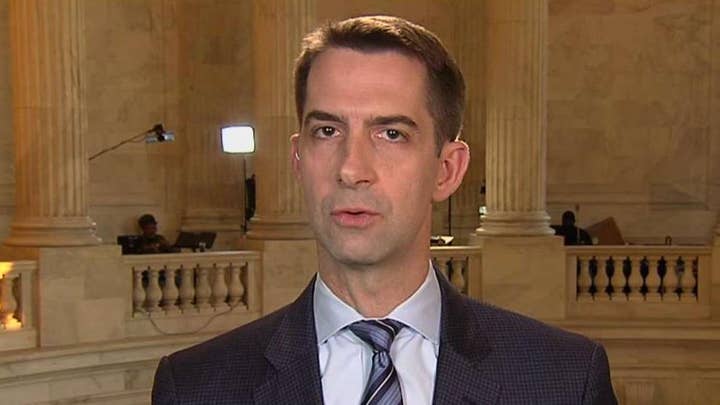 Cotton: Mexican government can't handle the cartel violence