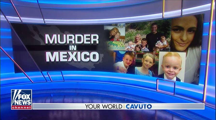 Tom Cotton reacts to Mexican cartels murdering Americans