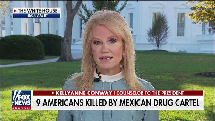 Kellyanne Conway: Trump offered to help stop 'ruthless' cartels, Mexico's president refused