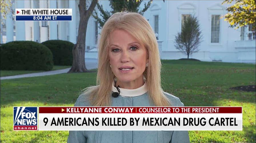 Kellyanne Conway: Trump offered to help stop 'ruthless' cartels, Mexico's president refused