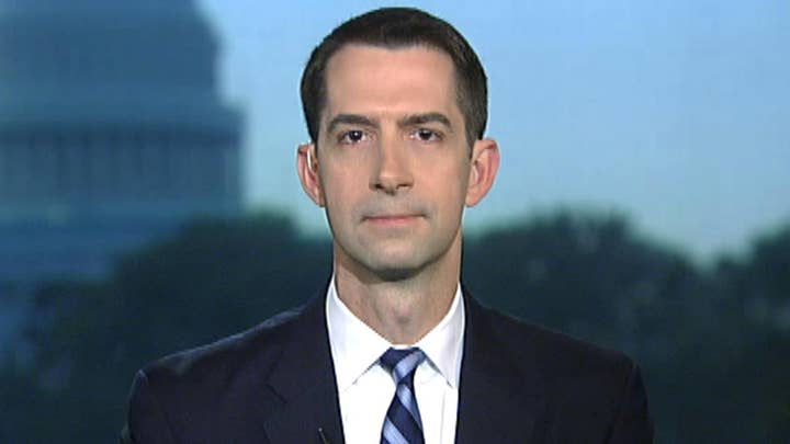 Sen. Cotton: House Democrats going the extra mile to protect Joe Biden