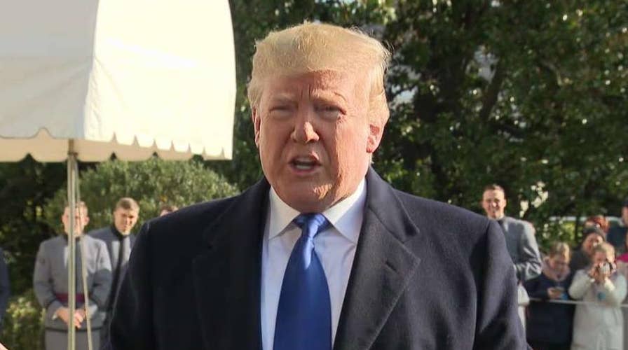 President Trump 'not concerned' by impeachment inquiry, declares witnesses testimony 'fine'
