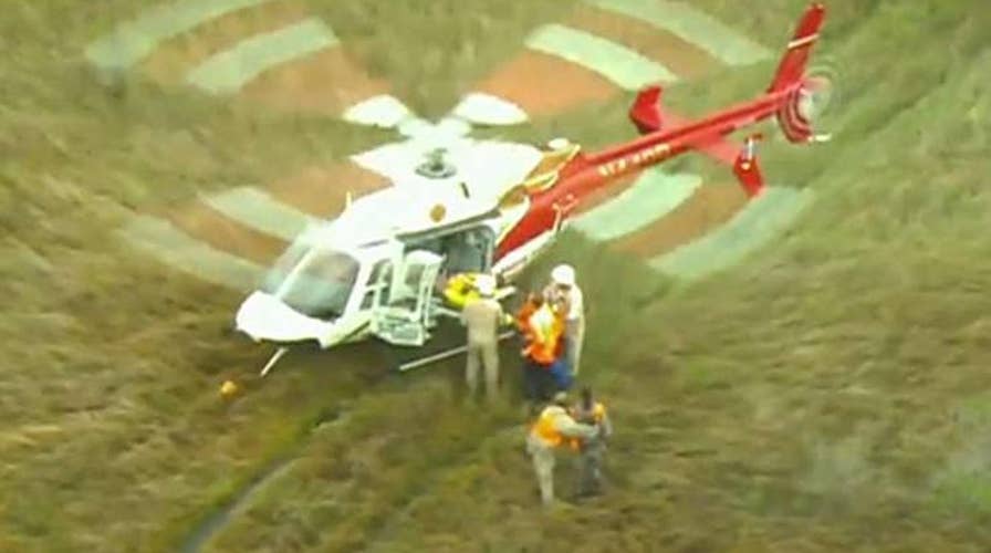 Man airlifted after alligator attack in Florida