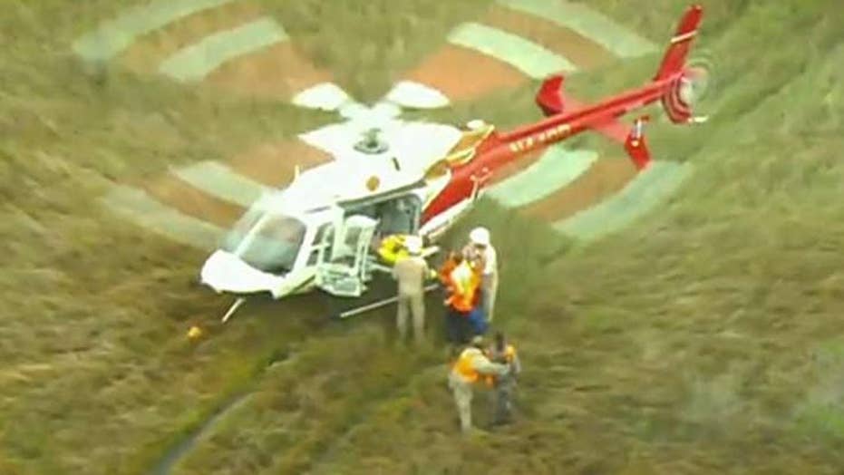Florida man attacked by large alligator airlifted to hospital with