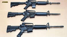 Supreme Court lets Sandy Hook families' lawsuit against gunmaker proceed