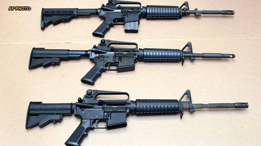 Supreme Court allows Sandy Hook families' lawsuit against gun manufacturer proceed
