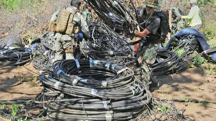 Mexican cartels poisoning US national parks through hidden pot growing operations