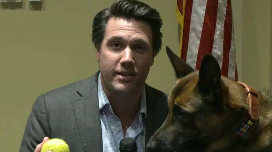 Eight US military animals honored for heroism at inaugural medal ceremony