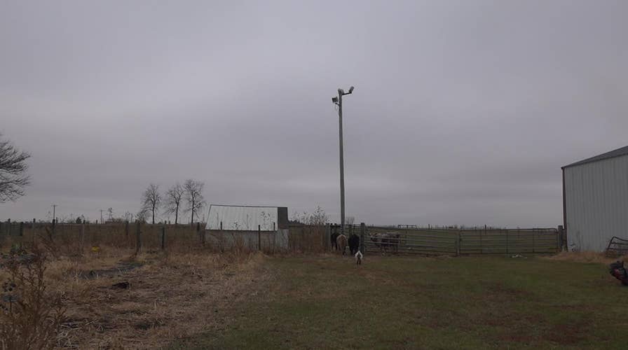 Future of family farms are bleak in Midwest as bankruptcies increase