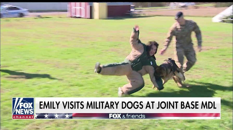 Emily Compagno visits military dogs at Joint Base MDL