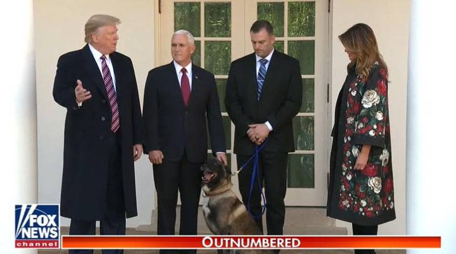 President Trump honors hero dog Conan at White House