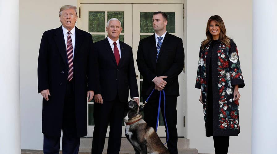 Hero dog injured in Baghdadi raid honored at White House