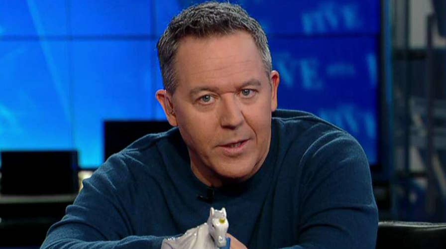 Gutfeld on calling Trump supporters a cult