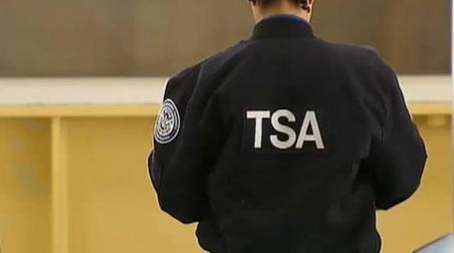 High tech: TSA testing a 'digital dog nose'