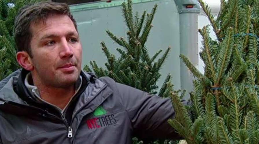 Tips to select the perfect Christmas tree