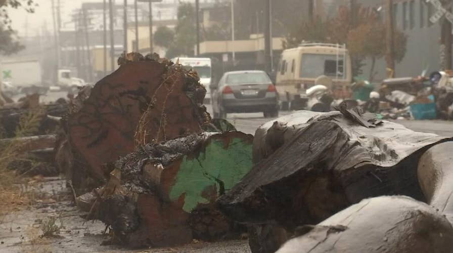 Logs placed on Oakland street in apparent attempt to deter homeless from parking vehicles