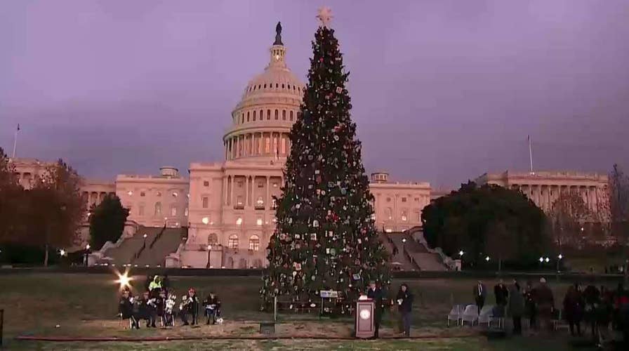 2019 Capitol Christmas tree lighting ceremony