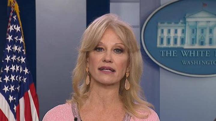 Kellyanne Conway calls out Democrats' star impeachment witness: 'Who the hell are you to look down on half of the country?'