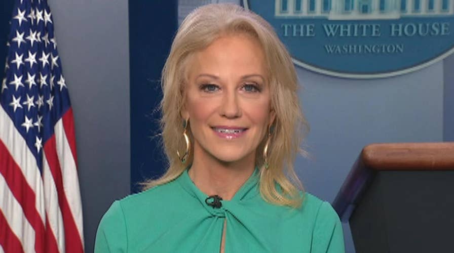 Kellyanne Conway: Americans aren't buying impeachment this holiday season
