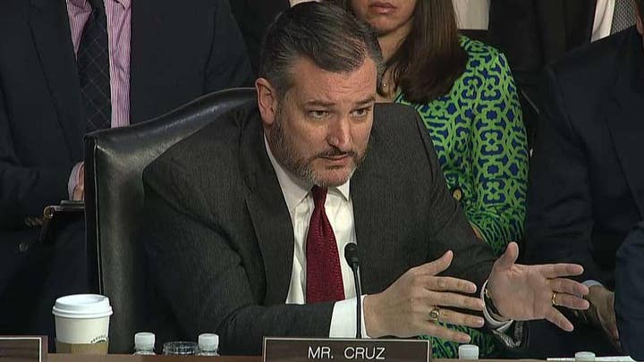 Sen. Ted Cruz on surveillance of Trump campaign: This wasn't Jason Bourne, this was ' Beavis and Butt-head'