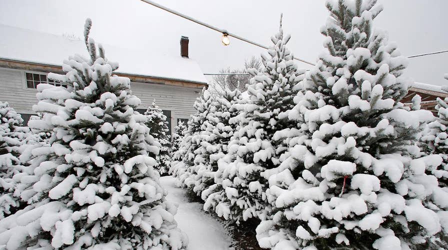 National forecast for Thursday, December 12