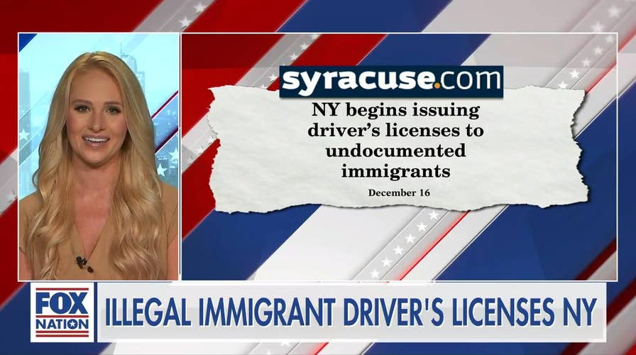 New York leadership offering undocumented immigrants drivers licenses are 'aiding and abetting illegal activity': Tomi Lahren