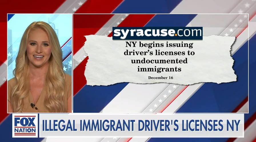 New York leadership offering undocumented immigrants drivers licenses are 'aiding and abetting illegal activity': Tomi Lahren