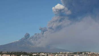 Rep. Bruce Westerman: Our most advanced carbon-capture device? Trees