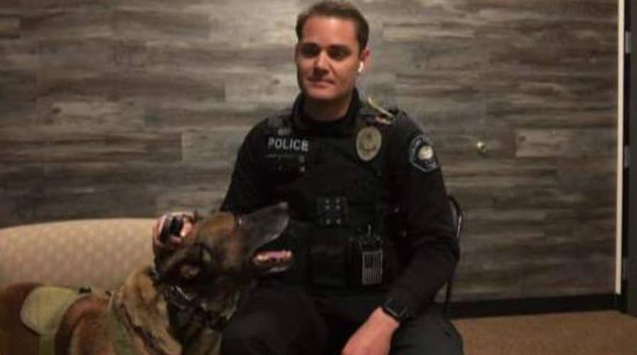 Heroic California K-9 cop flies through window to make arrest