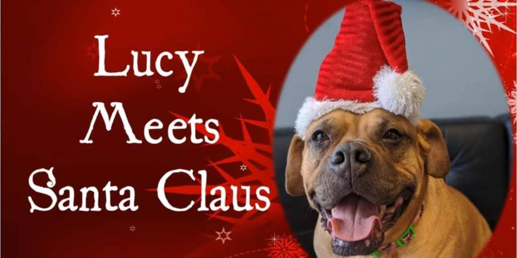 Pennsylvania shelter dog gives Santa her Christmas wish list, hopes to get adopted | Fox News Video