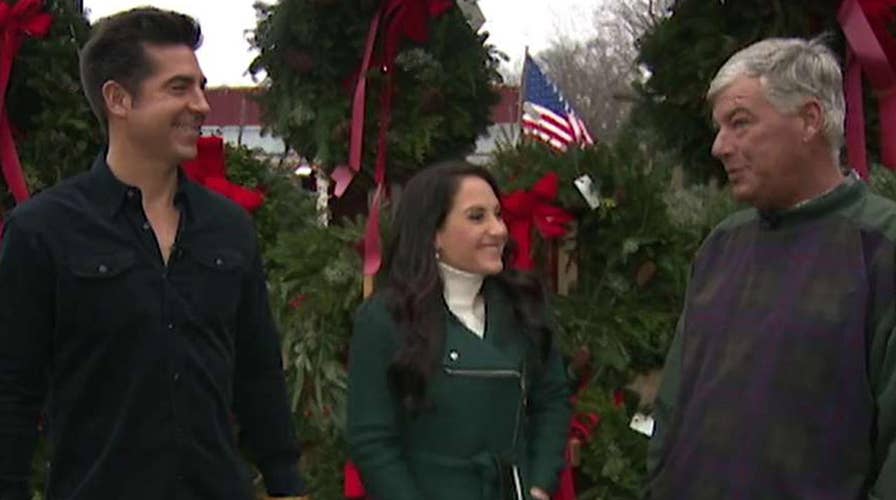 Jesse and Emily hunt for the perfect Christmas tree